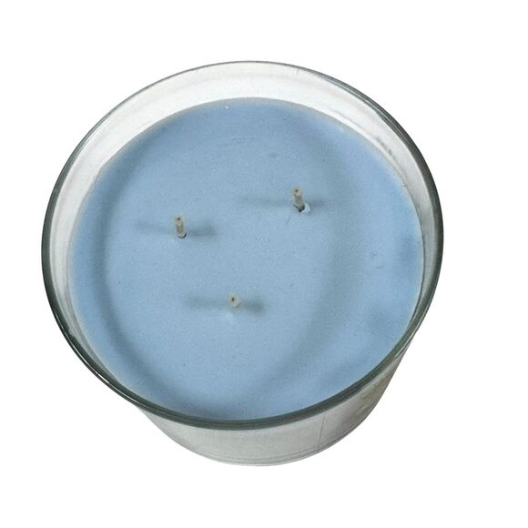 NEW Bath & Body Works Eucalyptus Mint 14.5 Oz 3 Wick Candle Crisp Fresh Scent - Picture 3 of 8